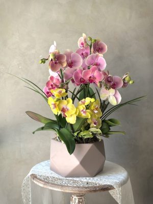 粉金之悅｜蝴蝶蘭花藝擺設